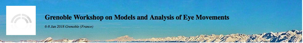 Grenoble Workshop on Models and Analysis of Eye Movements